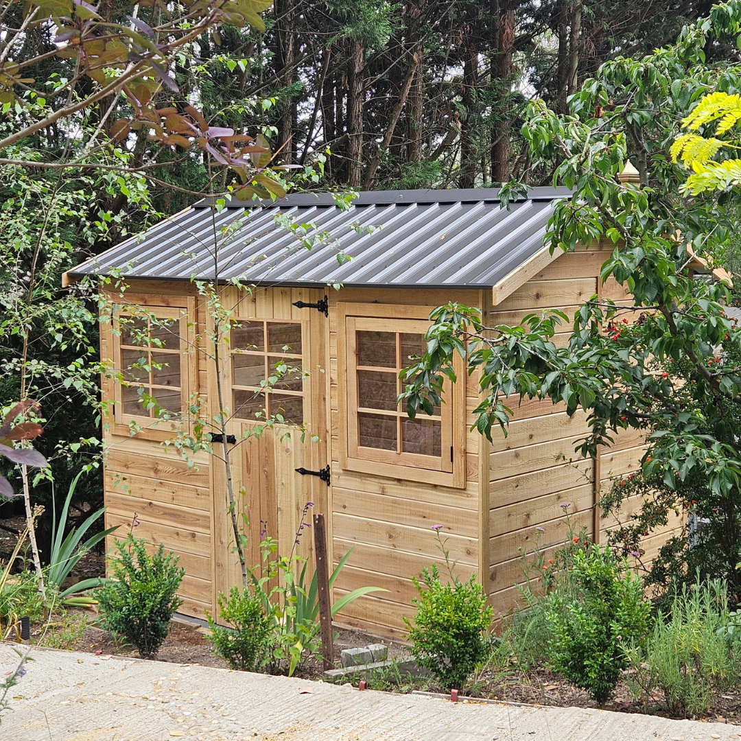 A Shed Journey 23 Years in the Making