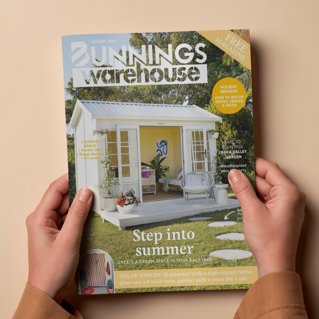 Stilla Featured on the Cover of Bunnings Magazine’s January Issue