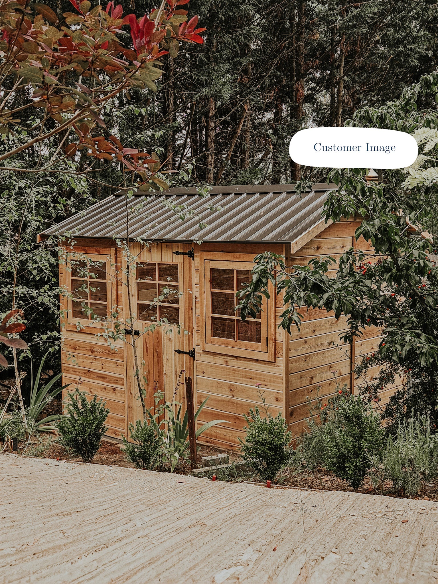 Hazel 9x6 Cedar Timber Shed