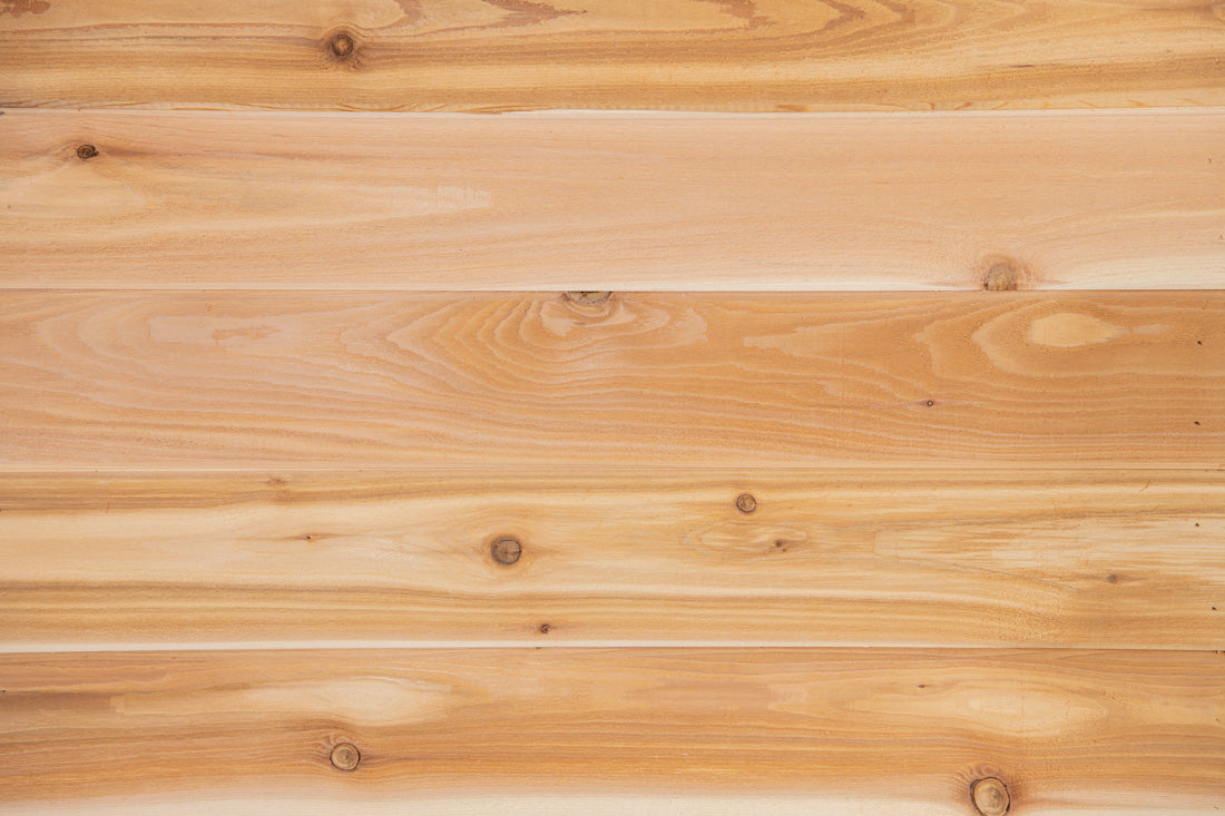 Barakula 10x10 Cedar Timber Classic Studio