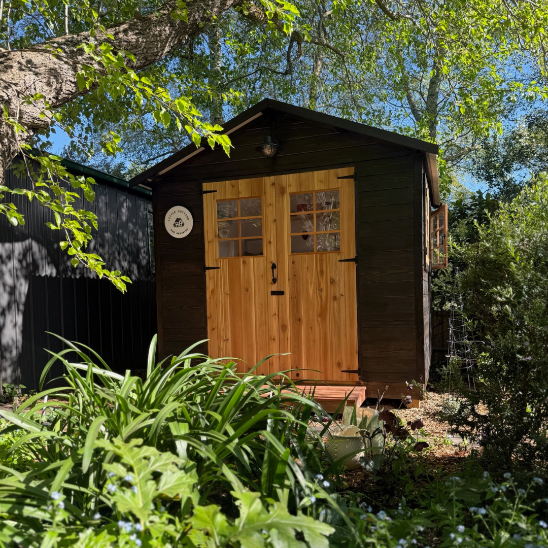 A Backyard Outdoor Studio for Little Cottage Dog Grooming
