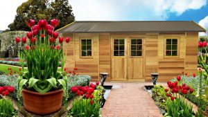 Cedar Studio